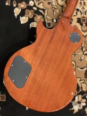 Tokai 【限定生産モデル】LS-101F-CM "Reborn OLD" -Honey Burst- #2551366【4.48kg】_7