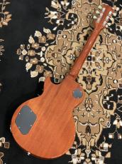 Tokai 【限定生産モデル】LS-101F-CM "Reborn OLD" -Honey Burst- #2551366【4.48kg】_8