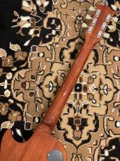 Tokai 【限定生産モデル】LS-101F-CM "Reborn OLD" -Honey Burst- #2551366【4.48kg】_9