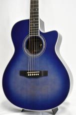 Morris R-14G SBU(シースルーブルー) 【国産エレアコ】