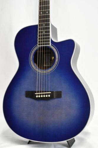 Morris R-14G SBU(シースルーブルー) 【国産エレアコ】