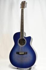 Morris R-14G SBU(シースルーブルー) 【国産エレアコ】_2