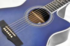 Morris R-14G SBU(シースルーブルー) 【国産エレアコ】_7