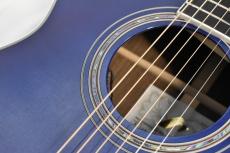 Morris R-14G SBU(シースルーブルー) 【国産エレアコ】_8