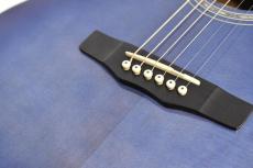 Morris R-14G SBU(シースルーブルー) 【国産エレアコ】_9