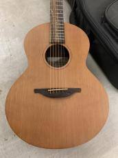 Lowden Sheeran by Lowden S-01  Ed Sheeran/George Lowden!_2