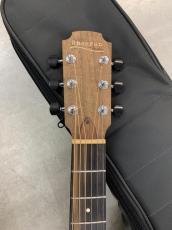 Lowden Sheeran by Lowden S-01  Ed Sheeran/George Lowden!_5