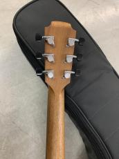 Lowden Sheeran by Lowden S-01  Ed Sheeran/George Lowden!_10