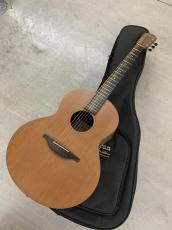 Lowden Sheeran by Lowden S-01  Ed Sheeran/George Lowden!_15