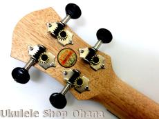 aNueNue [aNN-MCM] ミニコンサート マホガニー合板_6