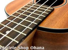 aNueNue [aNN-MCM] ミニコンサート マホガニー合板_7