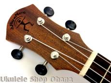 aNueNue [aNN-MCM] ミニコンサート マホガニー合板_5