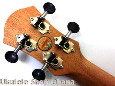 aNueNue [aNN-MCM] ミニコンサート マホガニー合板_6