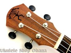 aNueNue [aNN-MCM] ミニコンサート マホガニー合板_5