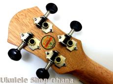 aNueNue [aNN-MCM] ミニコンサート マホガニー合板_6