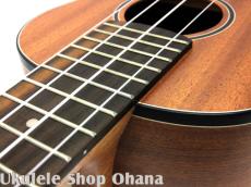 aNueNue [aNN-MCM] ミニコンサート マホガニー合板_7