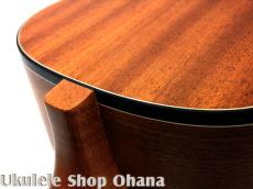 aNueNue [aNN-MCM] ミニコンサート マホガニー合板_8