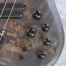 Ibanez BTB805MS -Transparent Gray Flat-【4.50kg】【#I250909216】_4