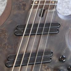 Ibanez BTB805MS -Transparent Gray Flat-【4.50kg】【#I250909216】_5