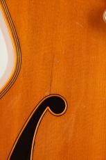 S.Tsuji Custom gem-BN w/ DeArmond Pickup_4