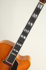 S.Tsuji Custom gem-BN w/ DeArmond Pickup_5