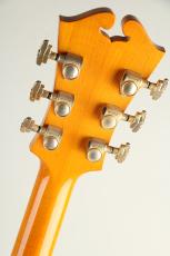 S.Tsuji Custom gem-BN w/ DeArmond Pickup_7