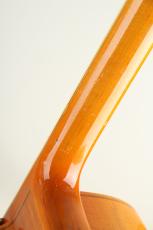 S.Tsuji Custom gem-BN w/ DeArmond Pickup_9