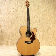 Takamine P7JC 2017_3