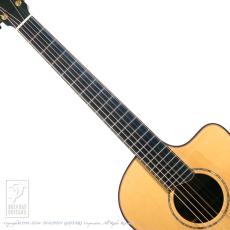 Lowden Pierre Bensusan Model_5