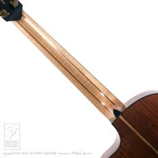 Lowden Pierre Bensusan Model_6