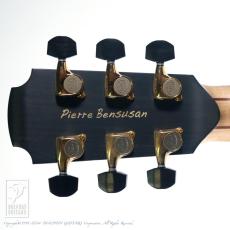 Lowden Pierre Bensusan Model_9