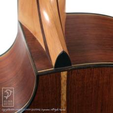 Lowden Pierre Bensusan Model_14