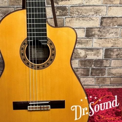 Esteve エステべ ELEC/Spr 松・ローズウッド