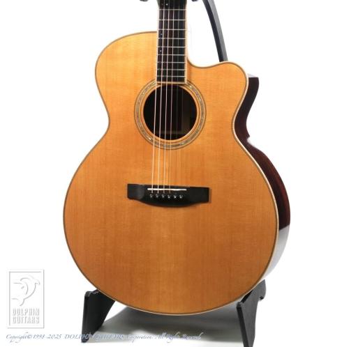 Joe Striebel Small Jumbo Cutaway