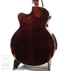 Joe Striebel Small Jumbo Cutaway_4