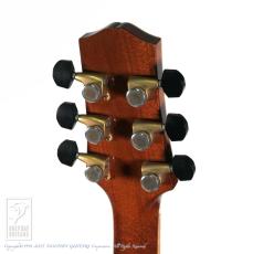 Joe Striebel Small Jumbo Cutaway_8