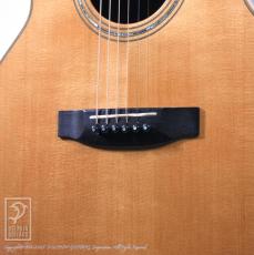 Joe Striebel Small Jumbo Cutaway_10