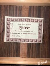 Esteve エステべ ELEC/Spr 松・ローズウッド_8