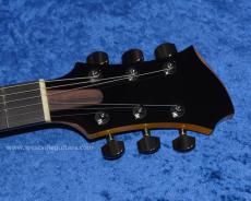 Westville Solar TD_5