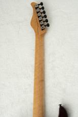 Black Smoker FUTURA-S HH w/Birds Eye Maple, Marble Wood -Dark Brown Burst-_11