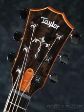Taylor 【Hand Picked】Custom GC Koa -Cindy- #1205284112【48回迄金利0%対象】【送料当社負担】_7