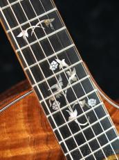 Taylor 【Hand Picked】Custom GC Koa -Cindy- #1205284112【48回迄金利0%対象】【送料当社負担】_9