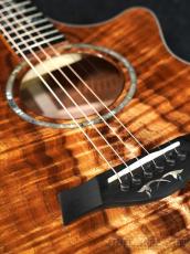 Taylor 【Hand Picked】Custom GC Koa -Cindy- #1205284112【48回迄金利0%対象】【送料当社負担】_11