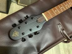 ESP BambooInn-C　バンブーイン_3