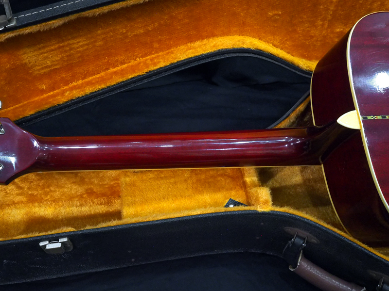 Morris / WH-25 ハミングバード 日本製 - HR/HMギター専門店