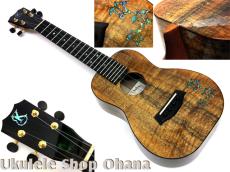 Kanile'a [HNS-C/PG]コンサート プレミアムコア ホヌインレイ