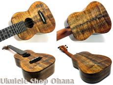 Kanile'a [HNS-C/PG]コンサート プレミアムコア ホヌインレイ_3