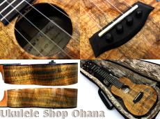 Kanile'a [HNS-C/PG]コンサート プレミアムコア ホヌインレイ_4