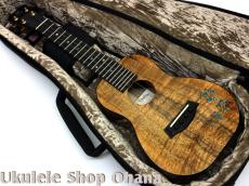 Kanile'a [HNS-C/PG]コンサート プレミアムコア ホヌインレイ_5