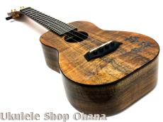 Kanile'a [HNS-C/PG]コンサート プレミアムコア ホヌインレイ_8